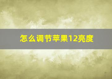 怎么调节苹果12亮度