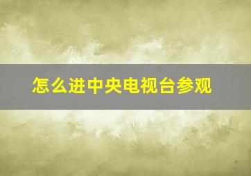 怎么进中央电视台参观