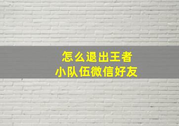 怎么退出王者小队伍微信好友