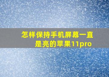 怎样保持手机屏幕一直是亮的苹果11pro