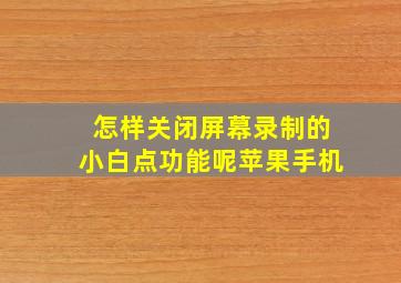 怎样关闭屏幕录制的小白点功能呢苹果手机