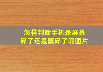 怎样判断手机是屏幕碎了还是膜碎了呢图片