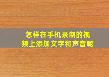 怎样在手机录制的视频上添加文字和声音呢