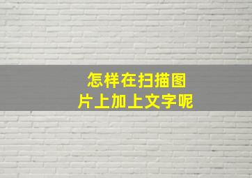 怎样在扫描图片上加上文字呢