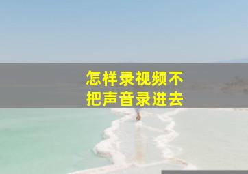 怎样录视频不把声音录进去