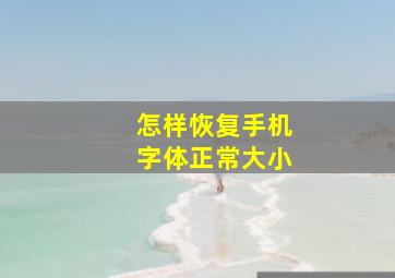 怎样恢复手机字体正常大小