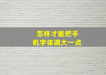 怎样才能把手机字体调大一点