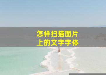 怎样扫描图片上的文字字体