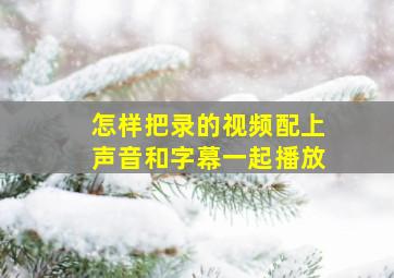 怎样把录的视频配上声音和字幕一起播放