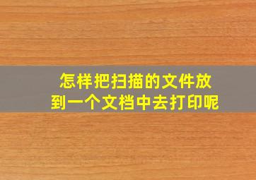 怎样把扫描的文件放到一个文档中去打印呢