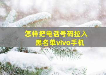 怎样把电话号码拉入黑名单vivo手机