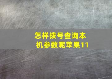 怎样拨号查询本机参数呢苹果11