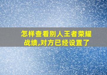 怎样查看别人王者荣耀战绩,对方已经设置了