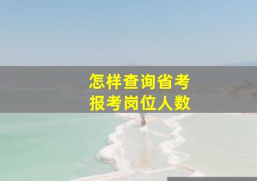 怎样查询省考报考岗位人数