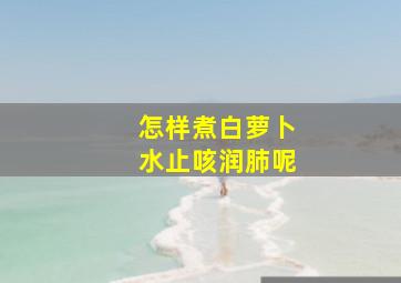 怎样煮白萝卜水止咳润肺呢