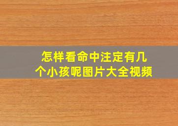 怎样看命中注定有几个小孩呢图片大全视频