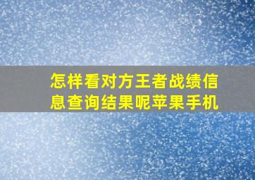 怎样看对方王者战绩信息查询结果呢苹果手机