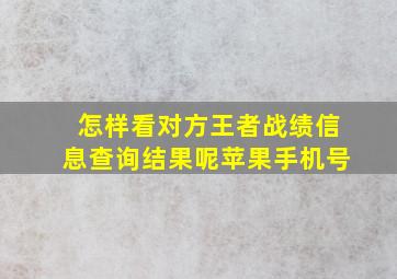 怎样看对方王者战绩信息查询结果呢苹果手机号