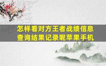 怎样看对方王者战绩信息查询结果记录呢苹果手机