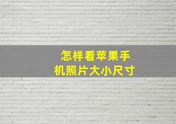 怎样看苹果手机照片大小尺寸