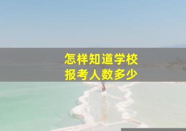 怎样知道学校报考人数多少