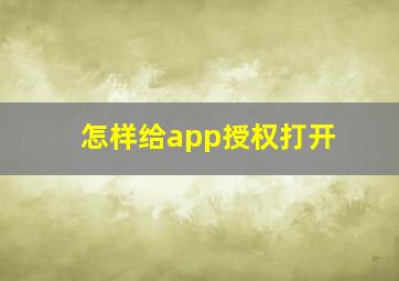 怎样给app授权打开