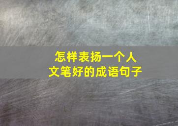 怎样表扬一个人文笔好的成语句子