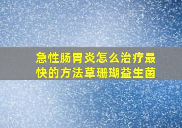 急性肠胃炎怎么治疗最快的方法草珊瑚益生菌