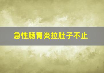 急性肠胃炎拉肚子不止