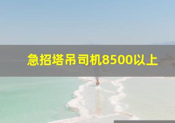 急招塔吊司机8500以上