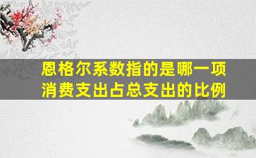 恩格尔系数指的是哪一项消费支出占总支出的比例