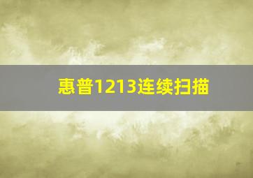 惠普1213连续扫描