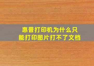 惠普打印机为什么只能打印图片打不了文档