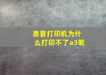 惠普打印机为什么打印不了a3呢