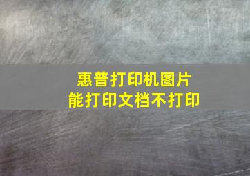 惠普打印机图片能打印文档不打印