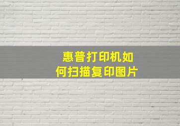 惠普打印机如何扫描复印图片