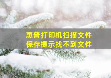 惠普打印机扫描文件保存提示找不到文件