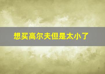 想买高尔夫但是太小了