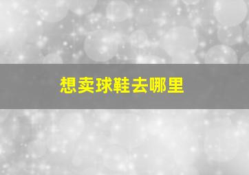 想卖球鞋去哪里