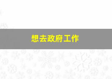 想去政府工作