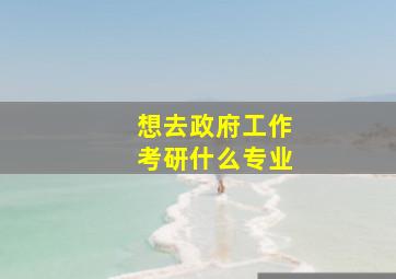 想去政府工作考研什么专业