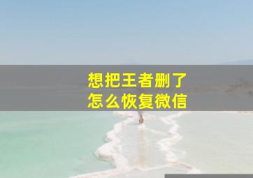 想把王者删了怎么恢复微信