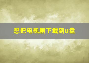 想把电视剧下载到u盘