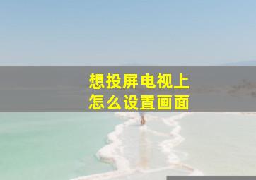 想投屏电视上怎么设置画面