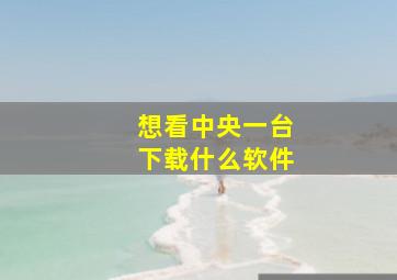 想看中央一台下载什么软件