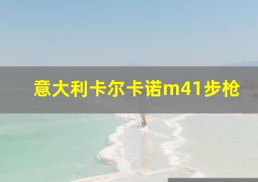 意大利卡尔卡诺m41步枪