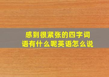 感到很紧张的四字词语有什么呢英语怎么说