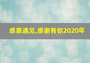 感恩遇见,感谢有你2020年