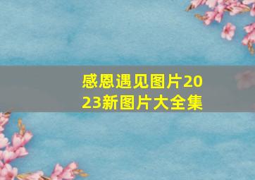 感恩遇见图片2023新图片大全集