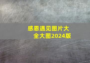 感恩遇见图片大全大图2024版